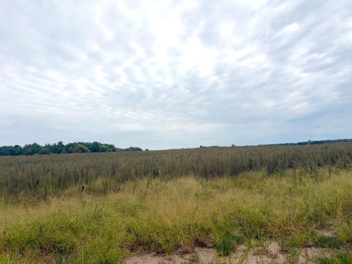 TBD (L8-SM East) Flamingo Street NW, Isanti, MN 55040