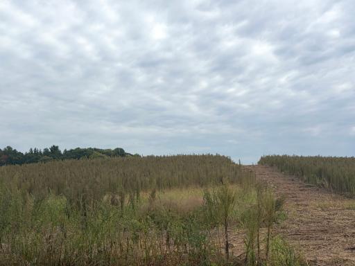 TBD (L9-SM East) Flamingo Street NW, Isanti, MN 55040
