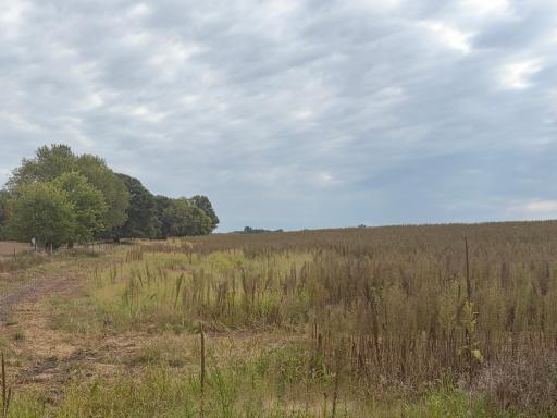 TBD (L9-SM East) Flamingo Street NW, Isanti, MN 55040