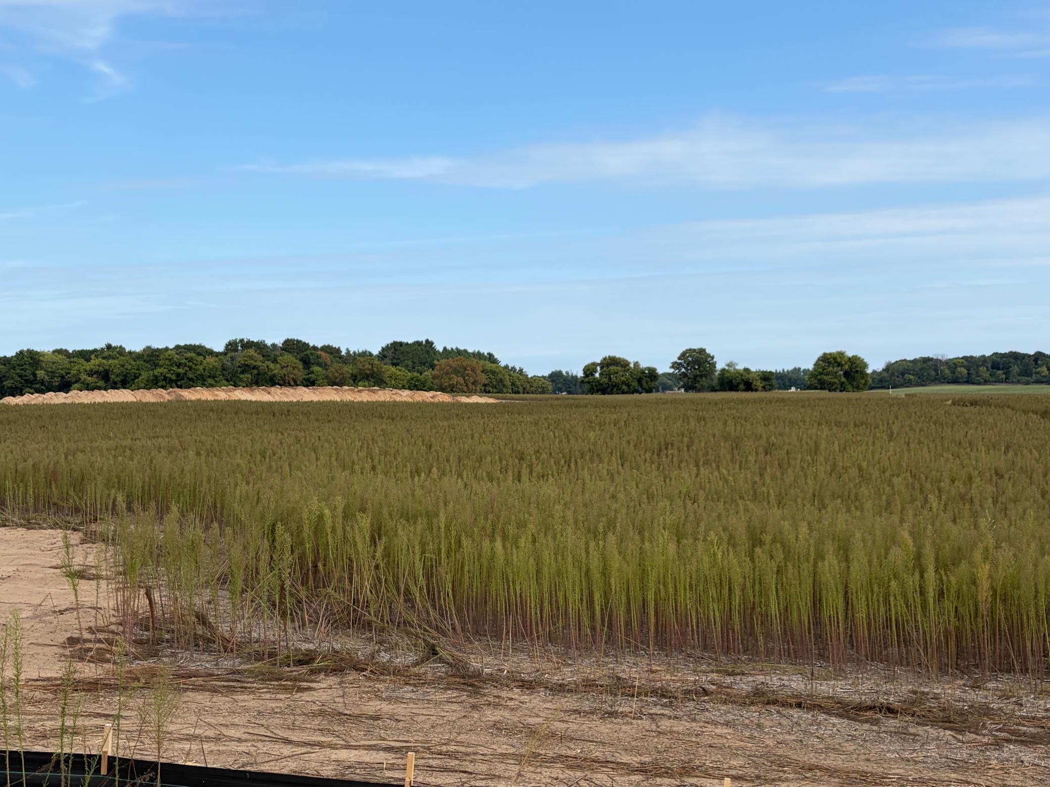 Welcome to Lot 10 in Stanford Meadows East. This beautiful lot is a huge 19.3 acres!!
