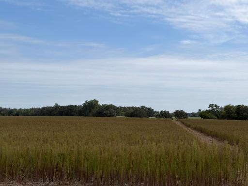 TBD (L11-SM East) Yellowpine Court NW, Isanti, MN 55040