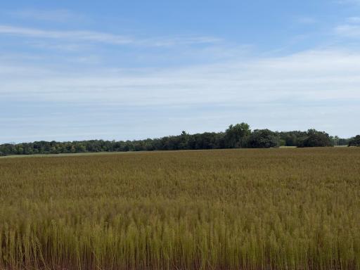 TBD (L11-SM East) Yellowpine Court NW, Isanti, MN 55040