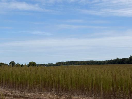 TBD (L12-SM East) Yellowpine Court NW, Isanti, MN 55040