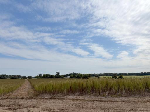 TBD (L12-SM East) Yellowpine Court NW, Isanti, MN 55040