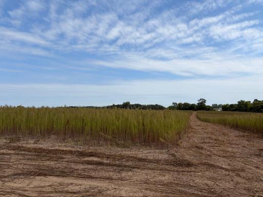 TBD (L12-SM East) Yellowpine Court NW, Isanti, MN 55040