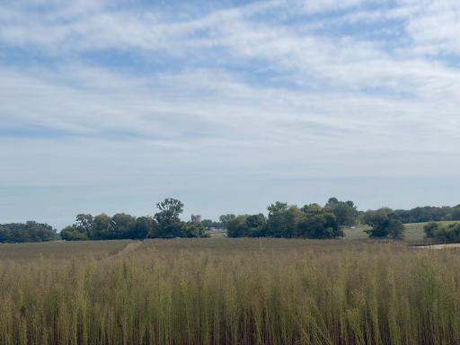 Welcome to Lot 13 in Stanford Meadows East. This beautiful lot is 4.72 acres!