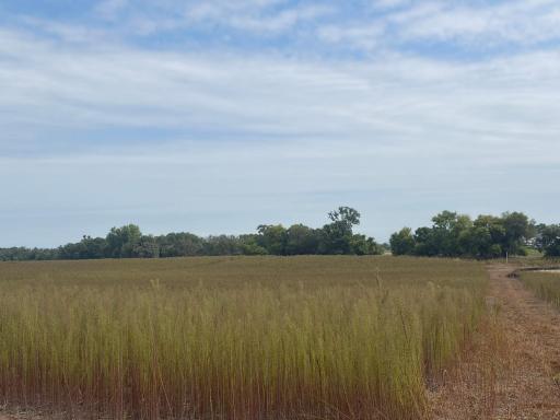 TBD (L13-SM East) Yellowpine Court NW, Isanti, MN 55040
