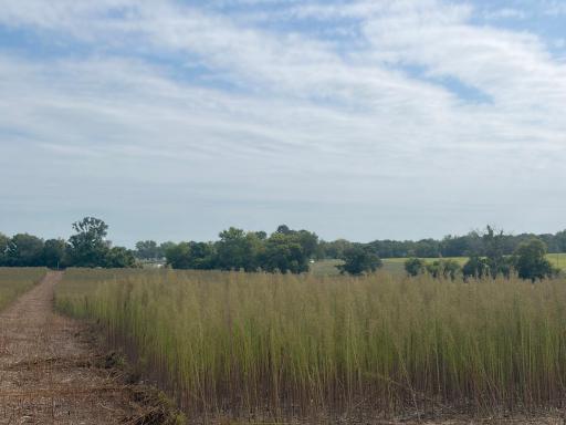 Welcome to Lot 14 in Stanford Meadows East. This beautiful lot is 3.48 acres!