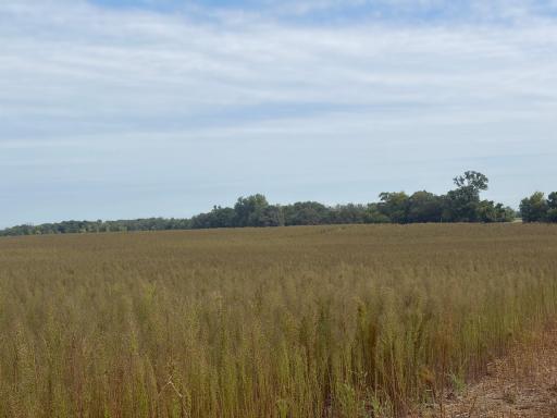 TBD (L14-SM East) Yellowpine Court NW, Isanti, MN 55040