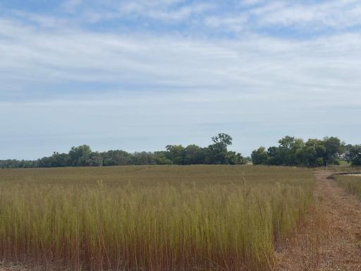 TBD (L14-SM East) Yellowpine Court NW, Isanti, MN 55040