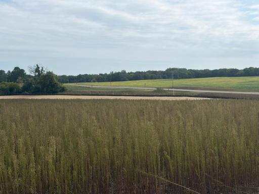 TBD (L14-SM East) Yellowpine Court NW, Isanti, MN 55040