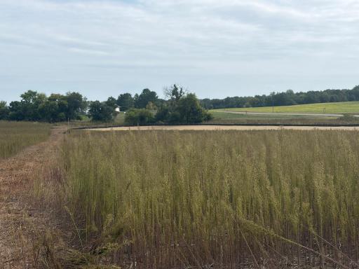 TBD (L14-SM East) Yellowpine Court NW, Isanti, MN 55040