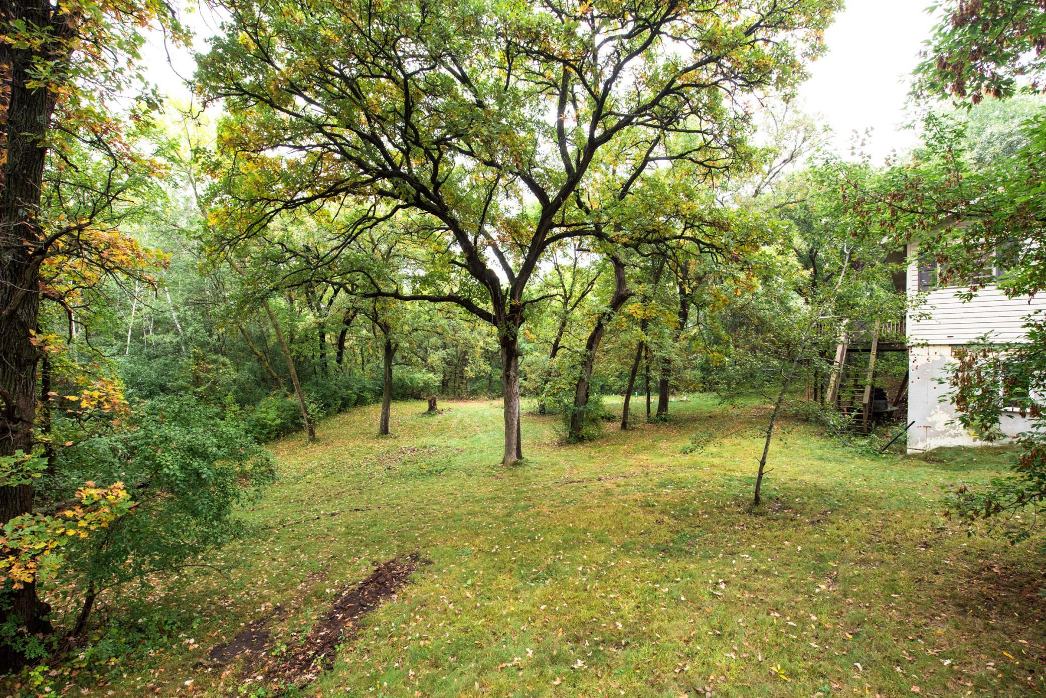 Trees & privacy abound