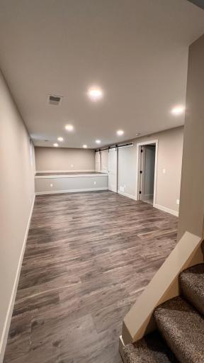 Basement living room