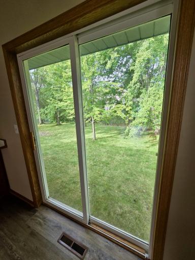 Back yard view from kitchen