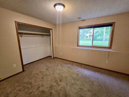 Lower level bedrom