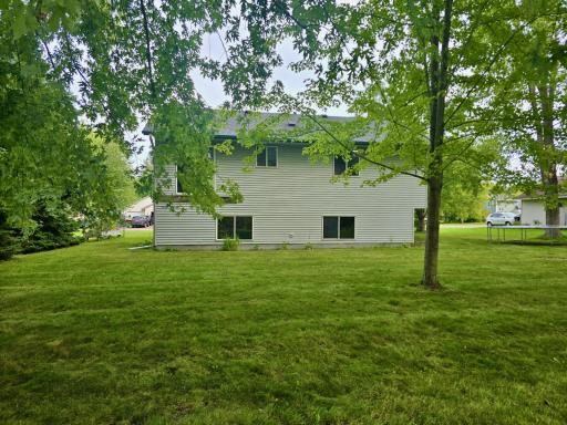 back yard