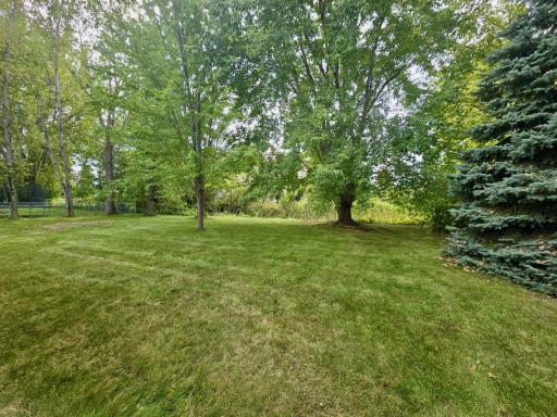 Back yard - No fence.