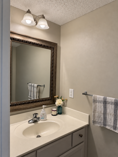 26535 Evergreen Court, Elko New Market, MN 55020