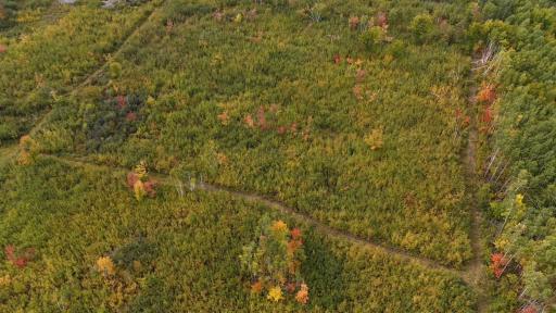 62427 Lower Tamarack Road, Bruno, MN 55712