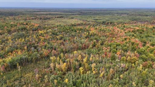 62427 Lower Tamarack Road, Bruno, MN 55712