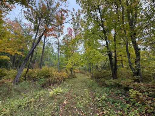 62427 Lower Tamarack Road, Bruno, MN 55712