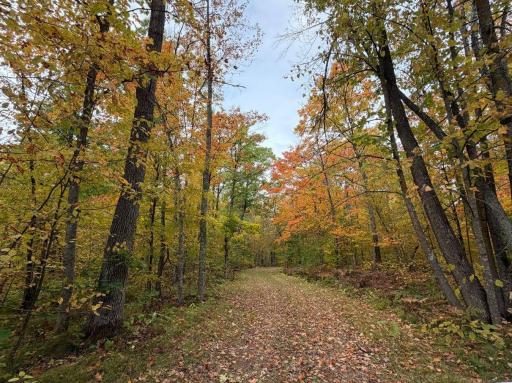 62427 Lower Tamarack Road, Bruno, MN 55712