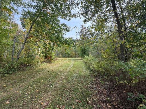 62427 Lower Tamarack Road, Bruno, MN 55712