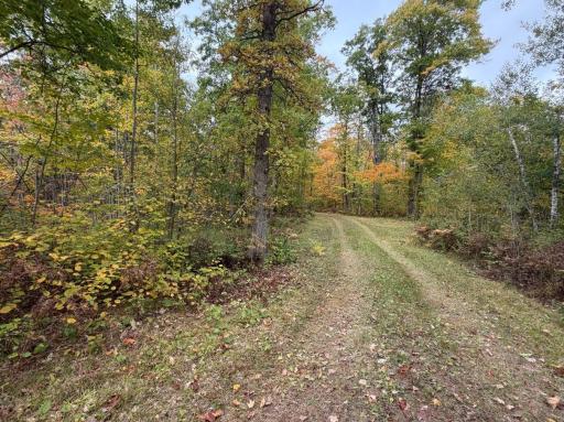 62427 Lower Tamarack Road, Bruno, MN 55712