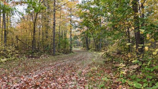 62427 Lower Tamarack Road, Bruno, MN 55712
