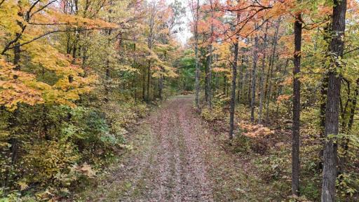 62427 Lower Tamarack Road, Bruno, MN 55712