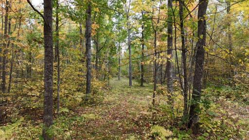 62427 Lower Tamarack Road, Bruno, MN 55712