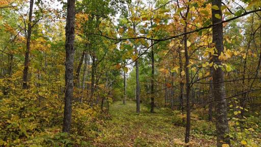 62427 Lower Tamarack Road, Bruno, MN 55712