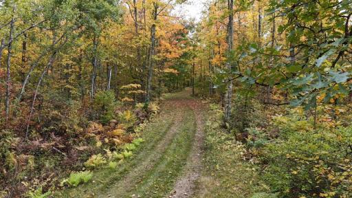 62427 Lower Tamarack Road, Bruno, MN 55712