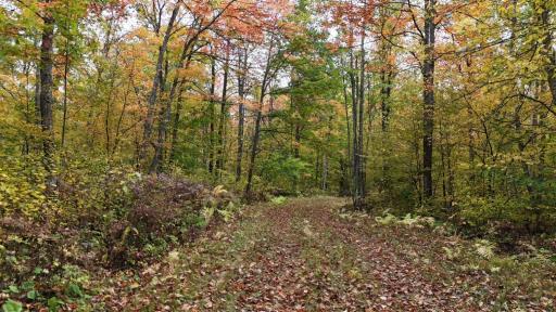 62427 Lower Tamarack Road, Bruno, MN 55712