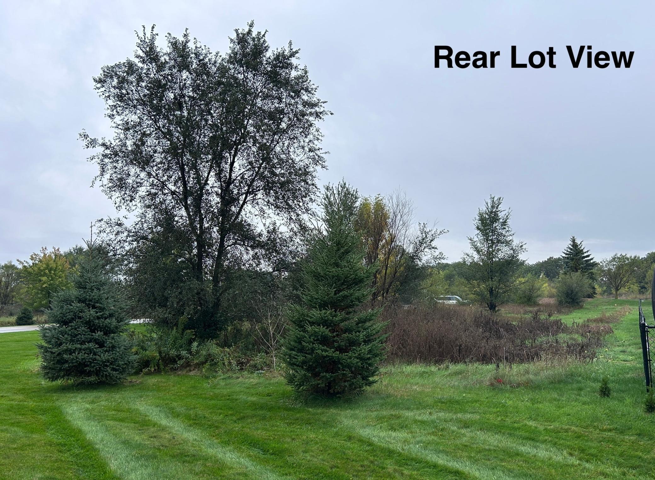 Rear of Lot
