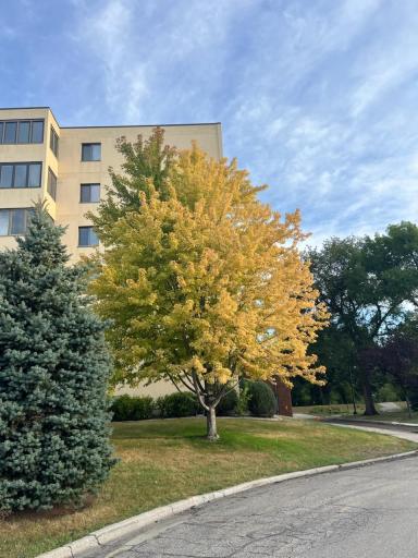 105 3rd Street N, 508, Moorhead, MN 56560