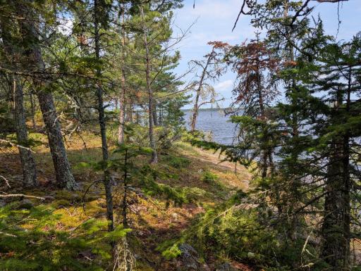 North Shoreline View