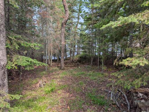 Trail to North shoreline