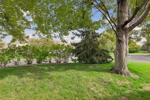 8605 Oxford Lane, Brooklyn Park, MN 55443