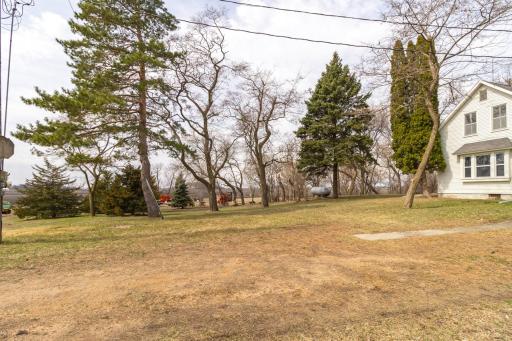Wooded part of property