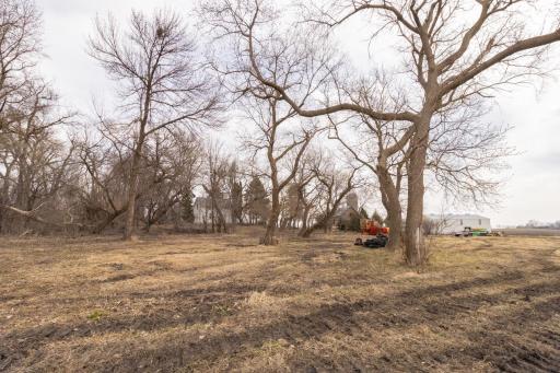 Wooded part of property