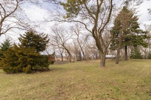 Wooded lot
