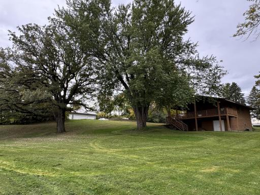 Gradual slope to Lake with Oak and Silver Maple