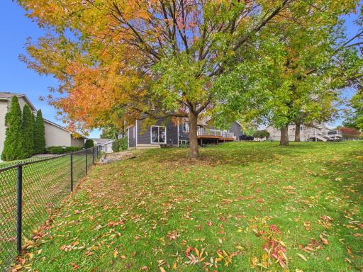 Fenced backyard with mature trees and room for outdoor use.