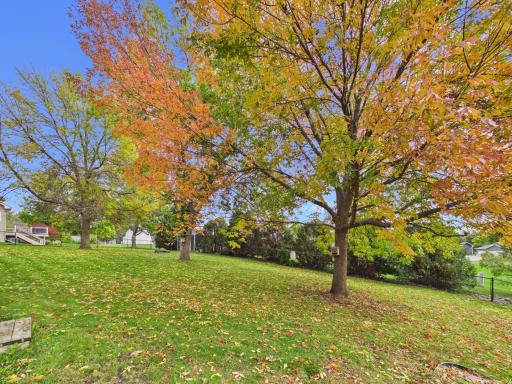 Tree-lined backyard view with a broad lawn and seasonal color.