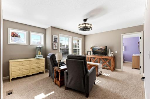 12734 Alamo Street NE, Blaine, MN 55449