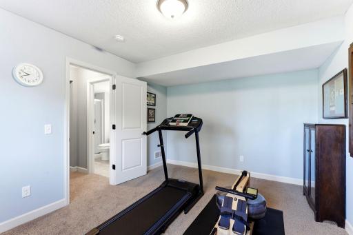 Fifth bedroom, great office, or workout room