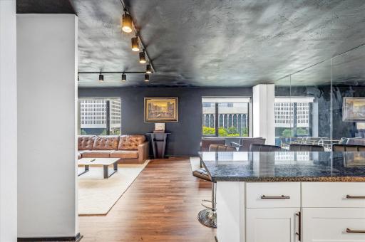 19 S 1st Street, B703, Minneapolis, MN 55401