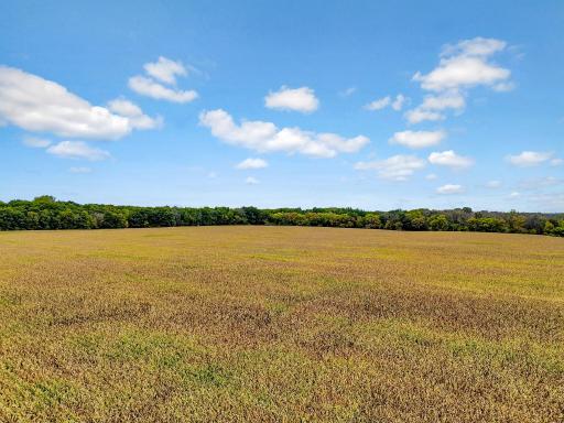 Photo for 122xx-140 Maxwell, Chisago City, MN 55013 - listing #7150795 122xx-140 Maxwell, Chisago City, MN 55013